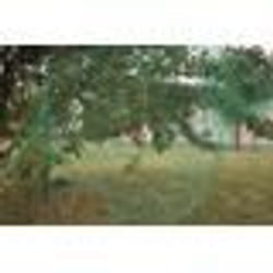 Filet de protection plantations 5x5m