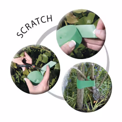 Ribimex PRLIEN105SC circlip et fixation pour plante