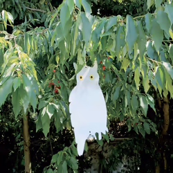 Ribimex AG0109 Effaroucheur visuel pour animaux