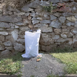 Ribimex PRSACX5GRA Sac de jardin