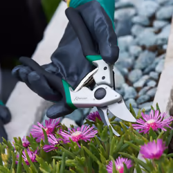 Ribimex PRSFC085PRO sécateur