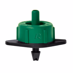 Ribimex PRA/MIB.0016, 50 mm, 85 mm, 105 mm, 50 g, Ampoule