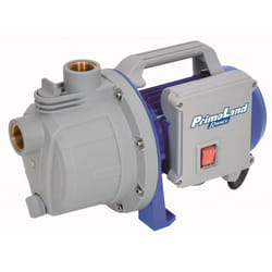 Ribimex PRJET41P pompe à eaux