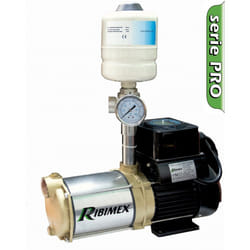 Ribimex PRMCA5AUTOV pompe à eaux