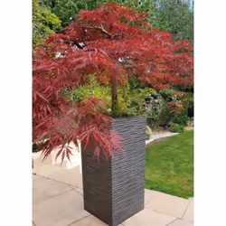 Ribimex PRGOMPF307 jardinière