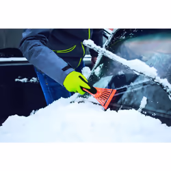 Ribimex PRGAN08TER Gant de protection