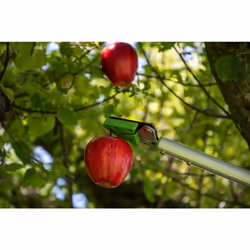 Ribimex PRESCF5 Ramasse-fruit souple