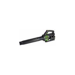 Ribimex - Souffleur pro R-BAT20 20v avec 2 batteries 2 amp et chargeur