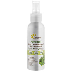Fleurance Nature Puryfitout Spray Assainissant d'Atmosphère 100 ml