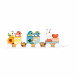 JANOD Pure Train, Pure train, 12 mois, 12 roue(s), Multicolore