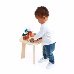 JANOD Table d'Activités Dino