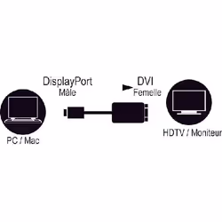 MCL CG-290CAZ câble vidéo et adaptateur 0,15 m DisplayPort DVI Noir