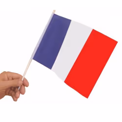 10 DRAPEAUX FRANCE POLYESTER AVEC HAMPE 15X21CM  Bleu Turquoise Ciel Marine