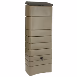 Belli 0260 5