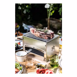 Louis Tellier BRASI-F barbecue et grill Cheminée Bois de chauffage Acier inoxydable - Vue supplémentaire 4