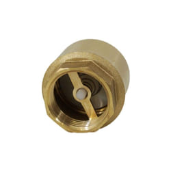 York - Clapet Anti Retour laiton 1'1/2 '' ''