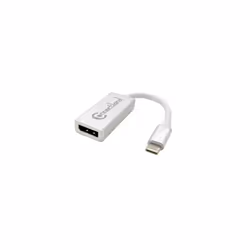 Adapt. Usb type c male vers displayport 1.2 femelle  connectland