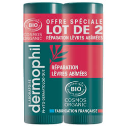 Dermophil Indien Réparation Lèvres Abîmées Bio Stick Lot de 2 x 4 g