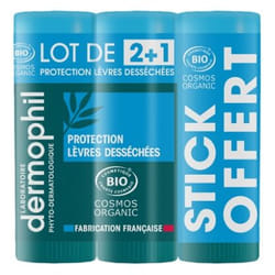 Dermophil Indien Protection Lèvres Desséchées Bio Stick Lot de 2 x 4 g + 1 Offert