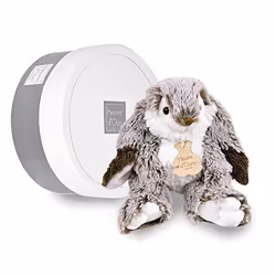 Doudou et Compagnie Lapin Marius 20 cm