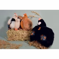 Histoire d'Ours HO3162 peluche - Vue supplémentaire 5