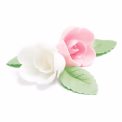 Roses assortis et Feuilles Vertes Azyme