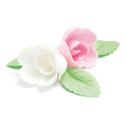 Roses assortis et Feuilles Vertes Azyme