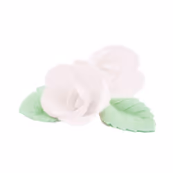 Roses Azyme - Scrapcooking - 10 pièces - Blanc - Vert - Fabriqué en France