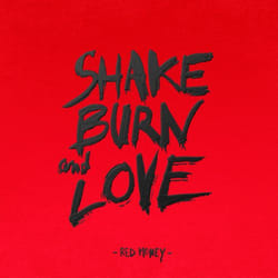 ImportCDs Shake Burn and Love CD Pop rock