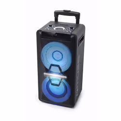 Muse M-1920 DJ