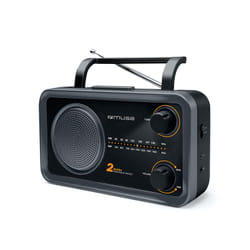 Muse M-06DS Radio portable Analogique Noir, Gris