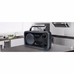 Muse M-06DS Radio portable Analogique Noir, Gris