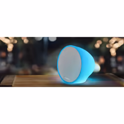 Muse ML-655 BT Blanc, Bois 100 W