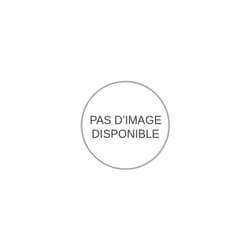 Leman - Tuyau de connection 090100.032 flexible n°32 D125 pour ASP150(T)
