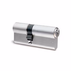 Cylindre IFAM F5S - double entrée - 30x70mm - varié - 1870 - Cylindre de sûreté à profil européen Finition laiton nickelé Res ...