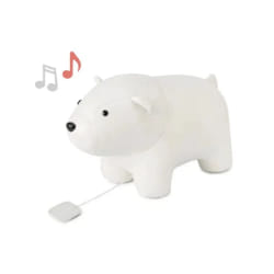 Nathan l'Ours Blanc