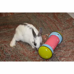 Pipolino S gamelle et abreuvoir pour chiens et chats Bleu, Vert, Rouge Universel