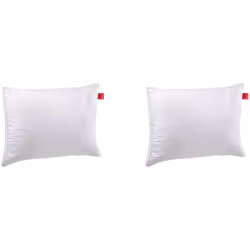 Lot de 2 oreillers Epeda Aloe Vera confort moelleux anti-acariens 50x70