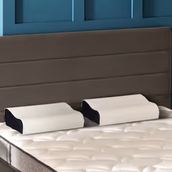 Ce lot de 2 oreillers ergonomiques Bultex permet d'alléger les points de pression grâce à leur noyau monobloc et viscoélastiq ...