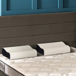 Bultex - Lot de 2 oreillers ergonomiques à mémoire de forme 33x52