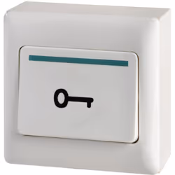 bouton poussoir de sortie - saillie - symbole clef gravé - aiphone bpsp