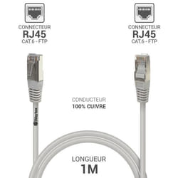 Waytex 33010 câble de réseau Gris 1 m Cat6 F/UTP (FTP)