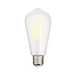 Ampoule à filament led Edison Opaque, culot E27, 4,9W (eq. 75W), 1055 lumens, Blanc chaud, Classe a - ARFE1055STO - Xanlite