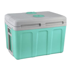 EZA - Glaciere thermoelectrique 40L 12/220V