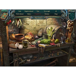 Big Fish Games Echoes of the Past 4 : La Vengeance de la Sorcière - Just for Games Standard PC