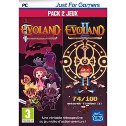 Shiro Games Evoland 1 + 2 Standard Allemand, Anglais, Français PC