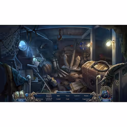 Big Fish Games Mystery Trackers 15 : La Baie aux Eaux Sombres Standard PC