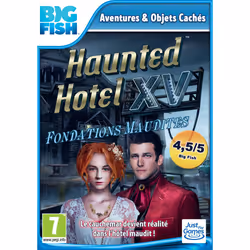 Big Fish Games Haunted Hotel 15 : Fondations Maudites, PC, Support physique