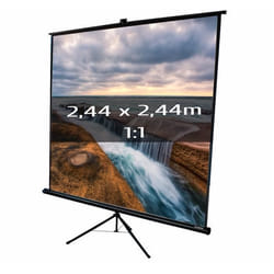 Ecran projection trépied 244 x 244m format 1:1