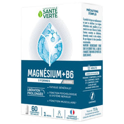 Santé Verte Magnésium + B6 60 Comprimés